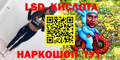 сатива Новодвинск