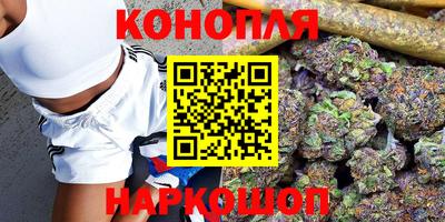 сатива Новодвинск