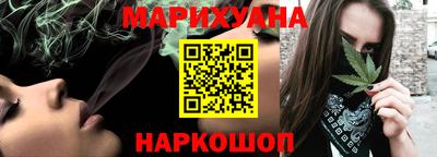 сатива Новодвинск