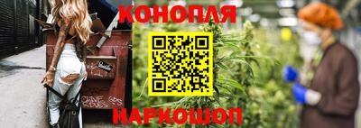 сатива Новодвинск