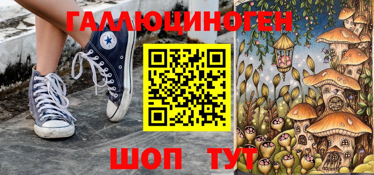 Сургут  Галлюциногенные грибы Cubensis  Вход с VPN 
